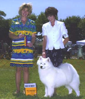 Lhotse takes Breed under Judge Mrs. Sharon Hanson