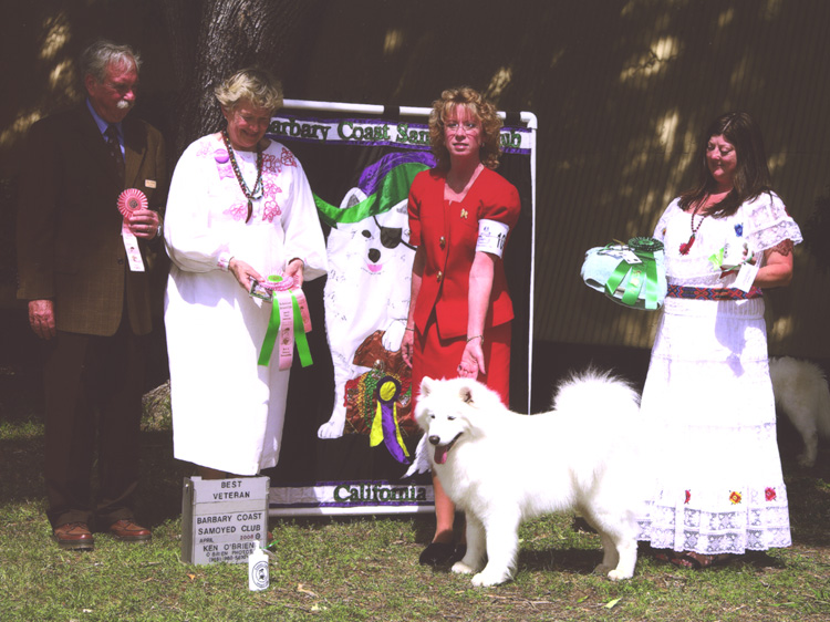 Lhotse wins Best Veteran