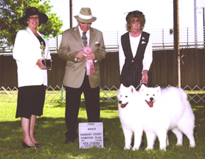 Lhotse and Chamonix in Best Brace