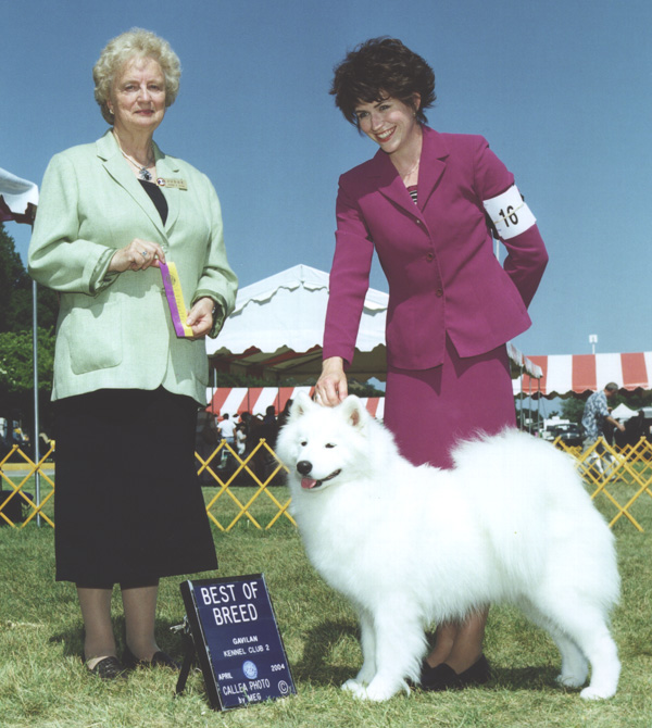 Lhotse takes Breed under Judge Jeanne Zuver
