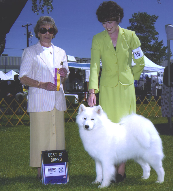 Lhotse takes Breed under Judge Mrs. Francine Schwartz