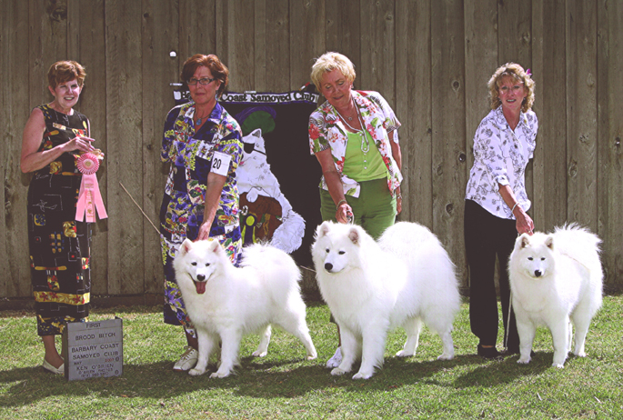 Lhotse wins Best Brood Bitch - Judge Wanda Spediacci