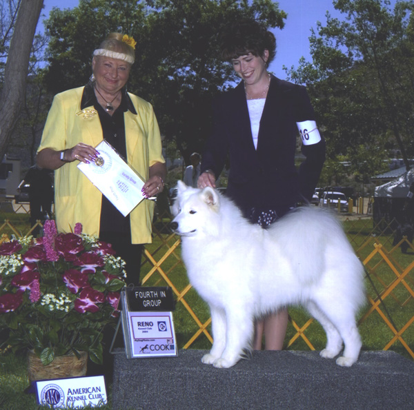 Lhotse takes a Group Placement - Judge Ms Dany Canino