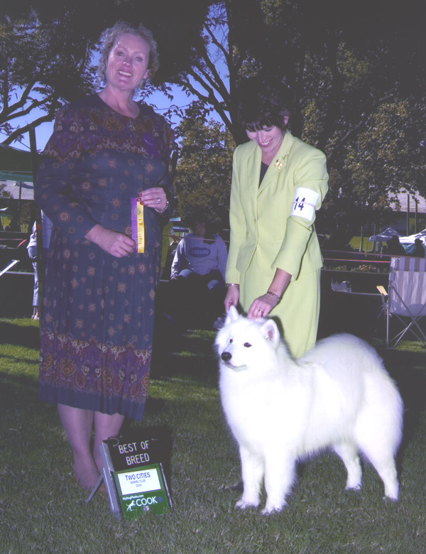Lhotse takes Breed under Judge Kimberly Anne Meredith-Cavanna