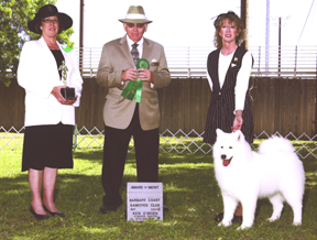 Chamonix wins an Award of Merit