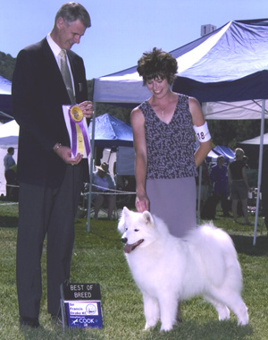 Lhotse takes Breed under Judge Mr. Jon Cole