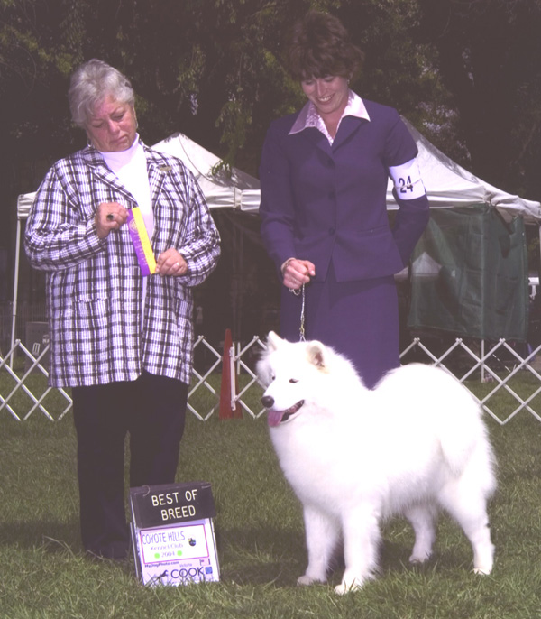 Lhotse takes Breed under Judge Mrs. Anita Cuneo
