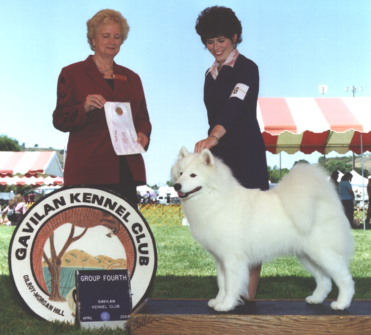 Lhotse gets Group 4 - Breeder Judge Jeanne Zuver