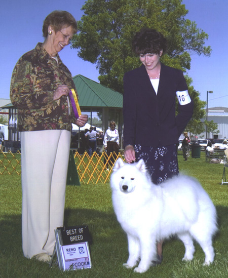 Lhotse takes Breed under Judge Mrs. Pat Hastings