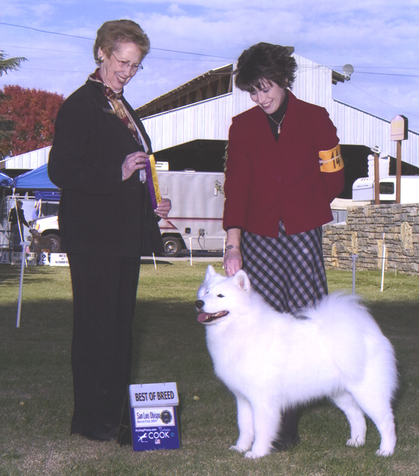 Lhotse takes Breed under Judge Pat Hastings