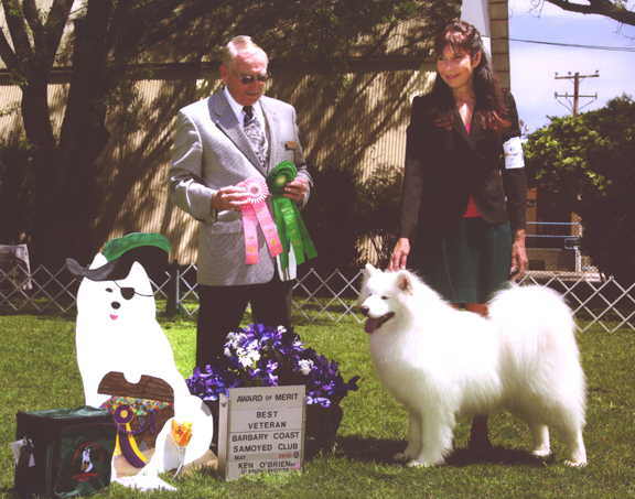 Lhotse goes Best Vet and Award of Merit at the Specialty