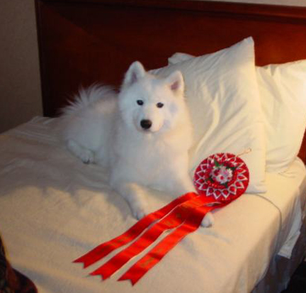 Lhotse with her Top 20 Ribbon