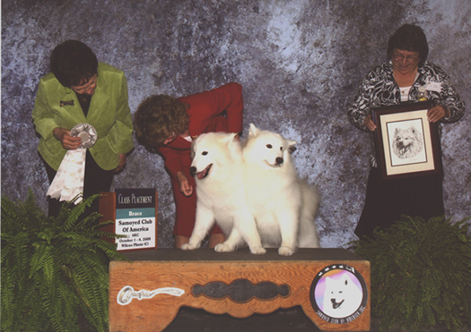 Lhotse and Chamonix in Brace