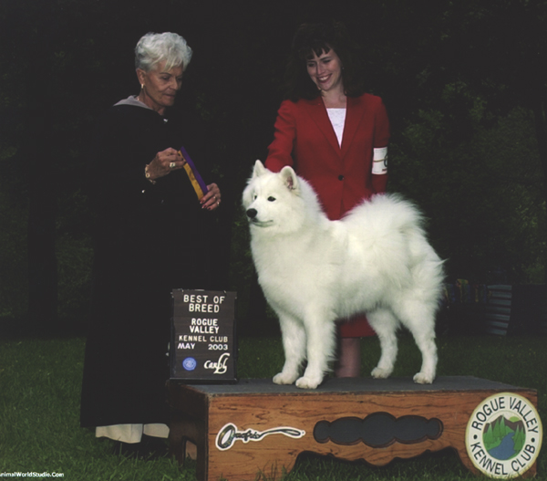 Lhotse takes Breed - Judge Bettie Krause