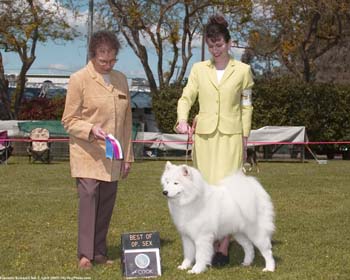 Lhotse - almost finished