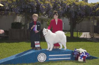 Lhotse Finishes her Championship