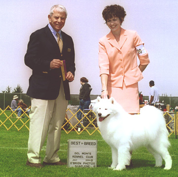 Lhotse takes Breed under Judge Mr. Robert Stein