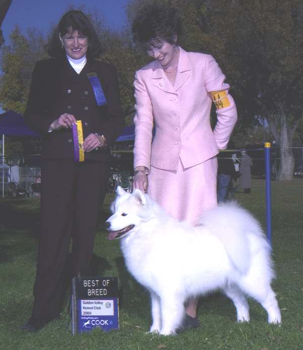 Lhotse takes Breed under Judge Faye Strauss