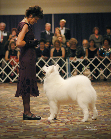 Lhotse and Jean at the Top 20 Competition